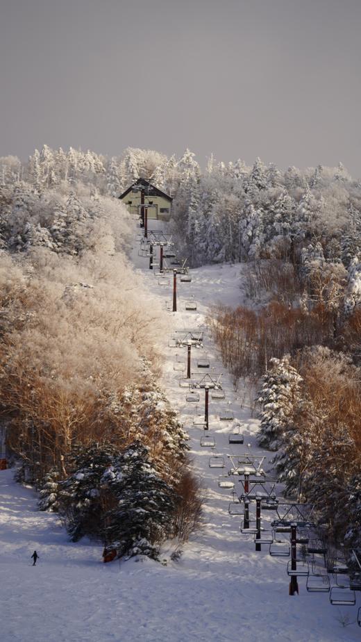 【24/25雪季末志贺】3月4日-3月10日，7天6晚畅滑志贺雪场，与SPADERS黑桃相约志贺高原！！ 商品图3