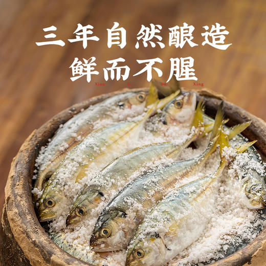 潮汕集锦初汤鱼露 商品图2