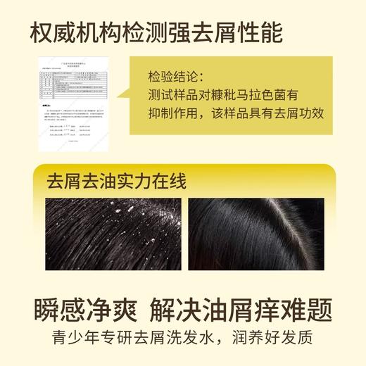 帕达诺12岁+青少年去屑洗发水380ml 商品图4