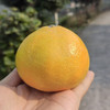 望江橙  橙子皮薄无核 甜嫩多汁 橙香浓郁 商品缩略图7