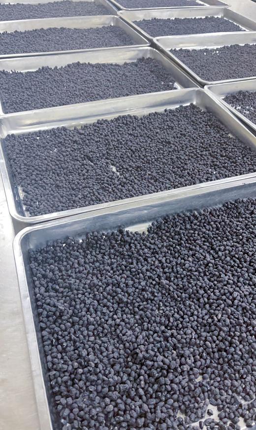 心沐 伊苒当归黑豆180克/瓶*3【XPTX】 商品图4