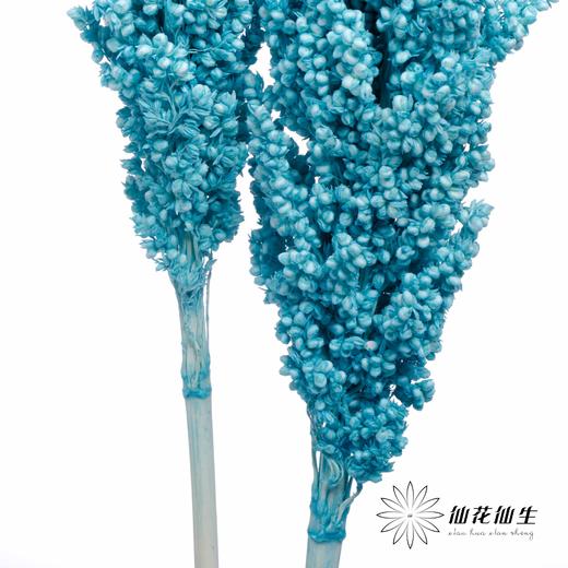 永生花 | 高梁尼蓝 商品图3