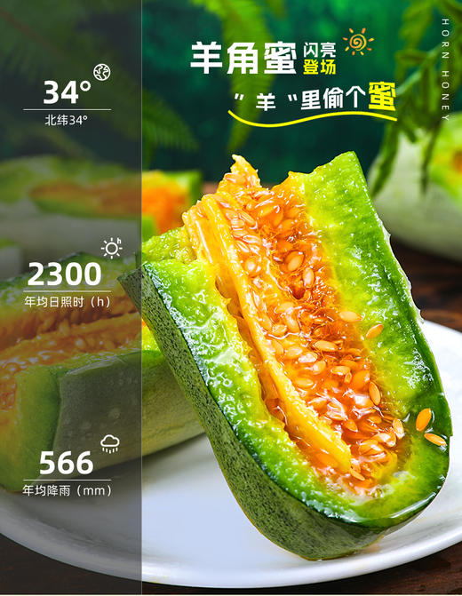 山东精品羊角蜜3斤/4.5斤 商品图2