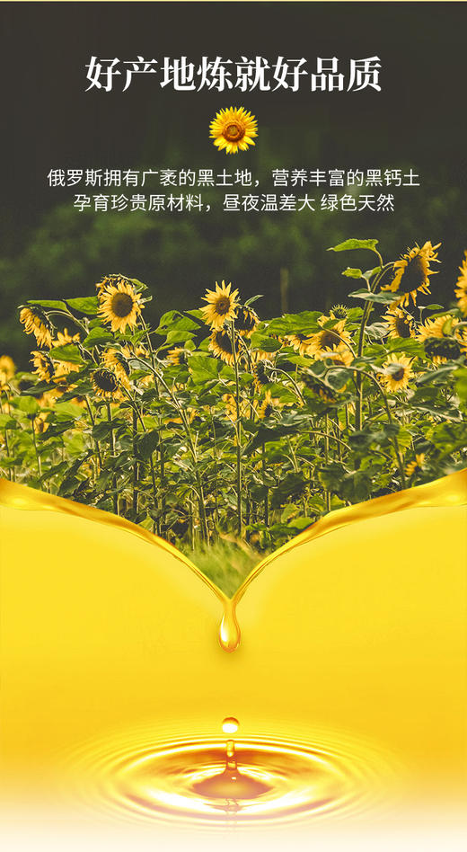 俄罗斯葵花籽油 低温物理冷榨 葵香浓郁 原装进口 |百里食 商品图5