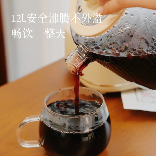【康宁二代养生壶】升级1000瓦，一壶多用，12大菜单功能齐全，壶体是高硼硅全玻璃材质，0涂层0金属，喝水更安心~【3-5天左右发货】 商品图7