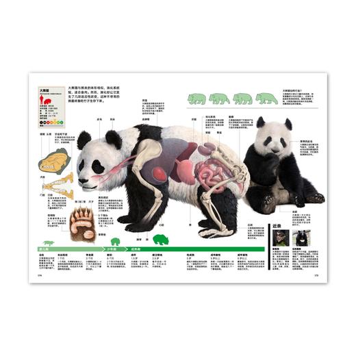 动物志06《比人更聪明》WOA 商品图2