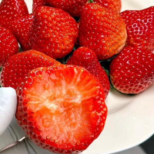 丹东草莓（40枚）约2斤 | 水果 商品图0