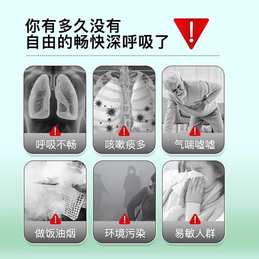 ActiNovo槲皮素肺部保健品养肺德国进口脂质体液体肺槲皮素250ml 商品图1