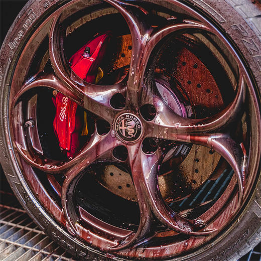 MANIAC LINE IR铁粉清洁剂 商品图2