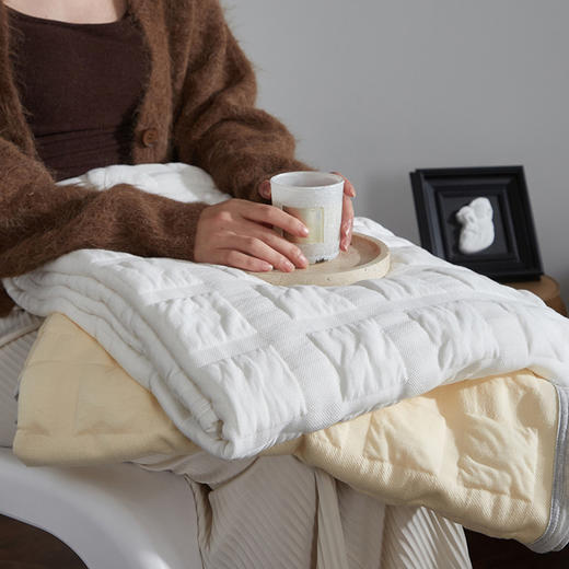 【A类全棉泡芙夏凉被】全棉贴身亲肤吸汗透气泡芙夏被提花泡芙夏凉被空调被A类 商品图1