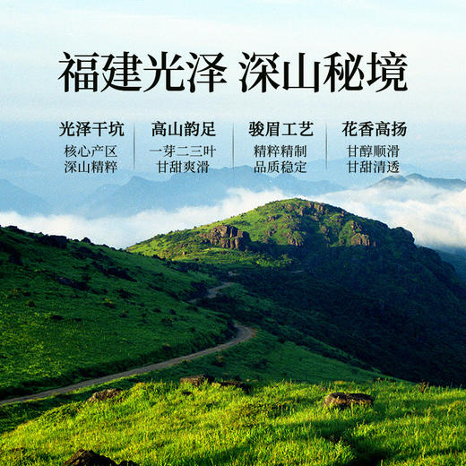 正山堂骏眉中国正心发展 花香小种特级红茶正宗茶叶罐装送礼50g 商品图2