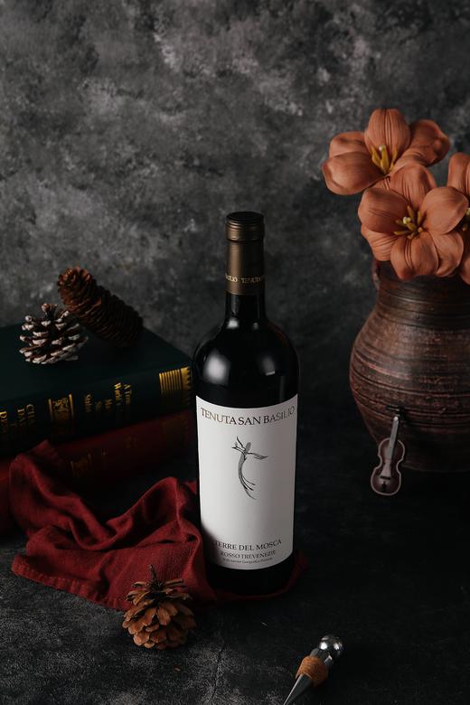 意大利特德尔干红葡萄酒 750ML 酒精度15% 原瓶原装进口 商品图6