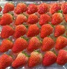 丹东草莓（40枚）约2斤 | 水果 商品缩略图2