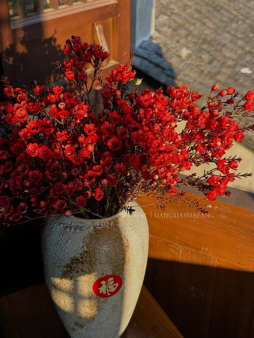 【AB级腊梅.都在这】一扎约3-6支/份 长约60-70cm 商品图1