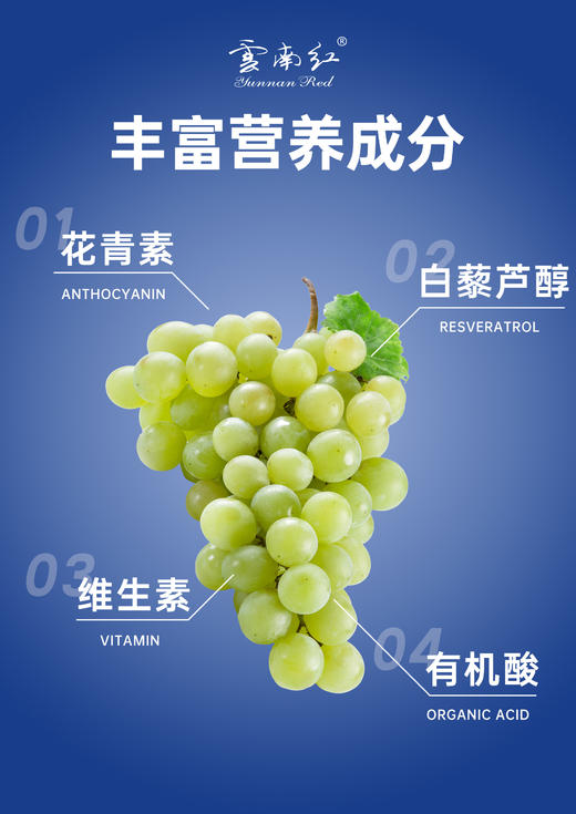 云南红彩虹葡萄烈酒500ml礼盒装弥勒酒庄 商品图7