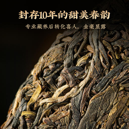 澜沧古茶2024年古木早春（10年陈）云南普洱茶生茶大饼345g 商品图2