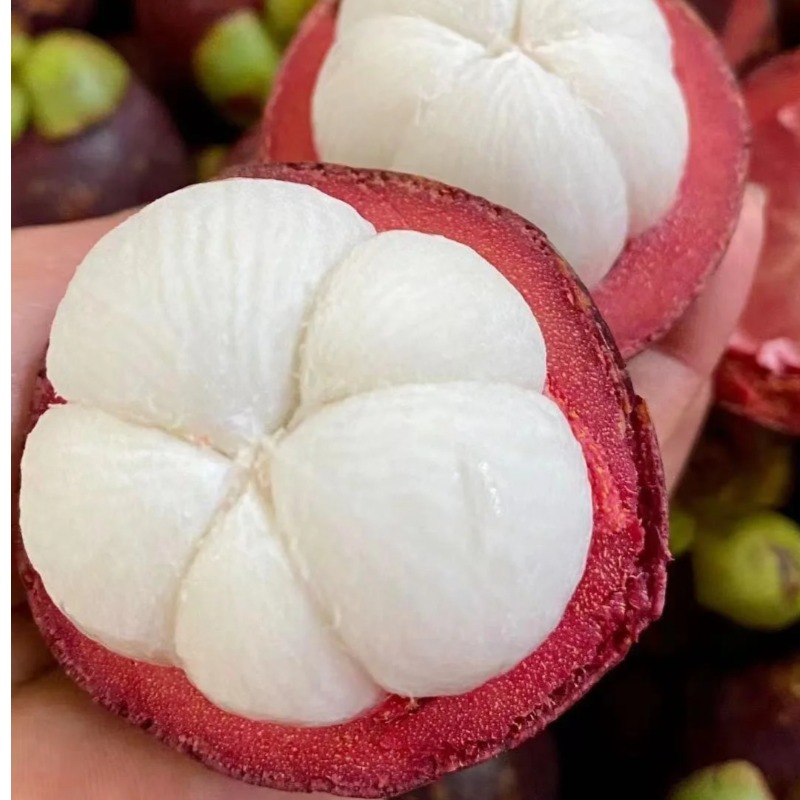 【顺丰快递】泰国进口山竹 新鲜水果 热带时令水果 - CJYD