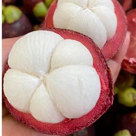 【顺丰快递】泰国进口山竹 新鲜水果 热带时令水果 - CJYD