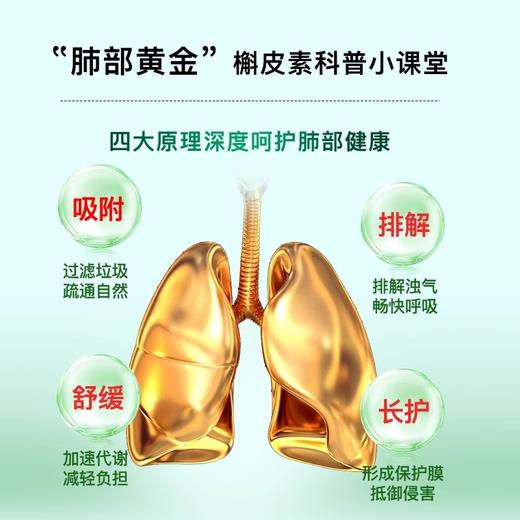 ActiNovo槲皮素肺部保健品养肺德国进口脂质体液体肺槲皮素250ml 商品图2