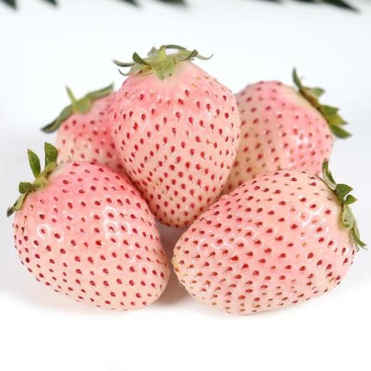 三拼草莓礼盒(搭配红颜/粉玉/白草莓) 约480g/盒 商品图1