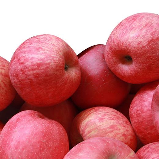 地理标志产品 正宗陕西旬邑马栏红红富士苹果礼盒装  陕西旬邑—中国苹果之乡 自然生长不打蜡香甜多汁皮薄肉脆 商品图1