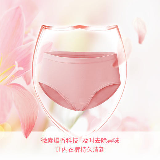 SukGarden蔬果园雪绒松除菌内衣洗衣液500g 商品图3