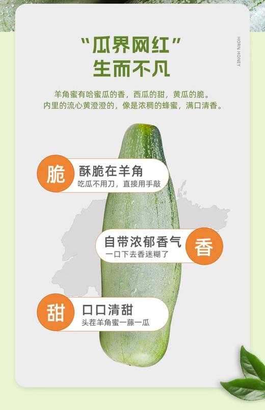 山东精品羊角蜜3斤/4.5斤 商品图1