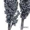 永生花 | 高梁灰色 商品缩略图3