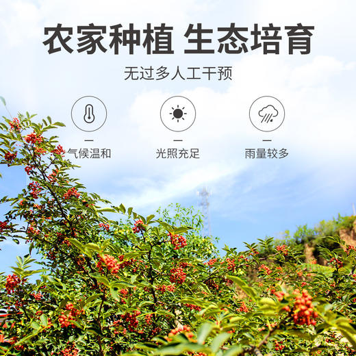 方家铺子 花椒100g/瓶装 商品图7