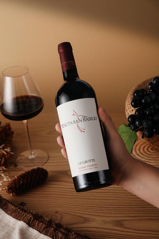 意大利帕多瓦梅洛干红葡萄酒 750ML 酒精度13.5%vol 原瓶原装进口 商品图10