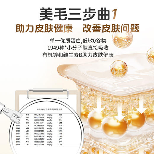 活力泰功能日粮低敏美毛狗粮比熊柯基博美柴犬通用型犬粮2kg 商品图2