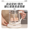 【鲜活透煮养生壶】家用多功能智能恒温养生壶，炖煮双全加厚玻璃，304食品用不锈钢发热盘，一锅多用电蒸锅小家电养生壶QQ 商品缩略图2