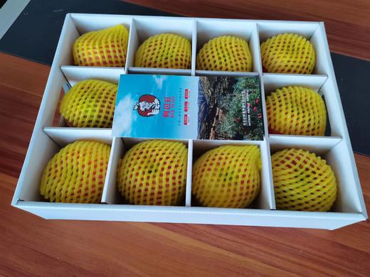 地理标志产品 正宗陕西旬邑马栏红红富士苹果礼盒装  陕西旬邑—中国苹果之乡 自然生长不打蜡香甜多汁皮薄肉脆 商品图3