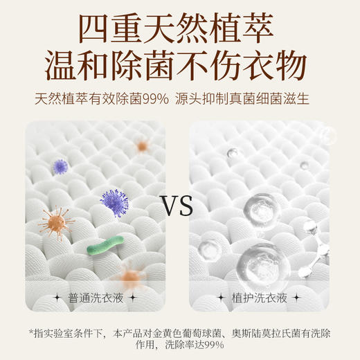 植护洗衣液除菌除螨整箱批家用香味持久留香实惠装 商品图1