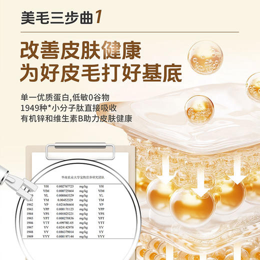 活力泰功能日粮低敏美毛猫粮美毛亮毛护肤布偶幼猫全价成猫2kg 商品图2