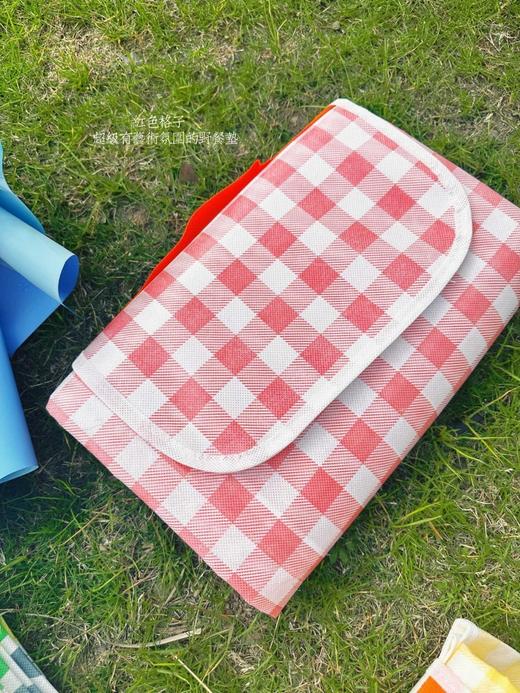 【家居百货】19.9买一送一【福利秒杀野餐垫】阳光正好正是野餐的季节 一起去室外呼吸新鲜空气 带上家人朋友 一起享受野外聚会的美妙 商品图7