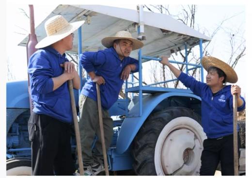 当季蔬菜箱 不定制 新鲜采摘 食在当地 *陕西基地直发 商品图4