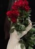 厄瓜多尔枪炮玫瑰情人节1米高10支【不包邮】 商品缩略图3