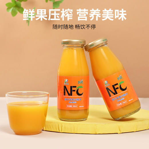 NFC  静宁苹果沙棘汁190ml*10瓶 商品图5