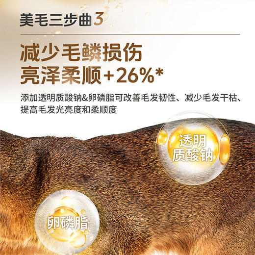 活力泰功能日粮低敏美毛猫粮美毛亮毛护肤布偶幼猫全价成猫2kg 商品图4