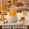 【养生壶家用】多功能全玻璃煮茶器 烧水壶小型办公室花茶壶 电热杯女神节礼品  商品缩略图3