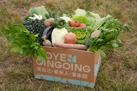 当季蔬菜箱 不定制 新鲜采摘 食在当地 *沃野青青基地直发