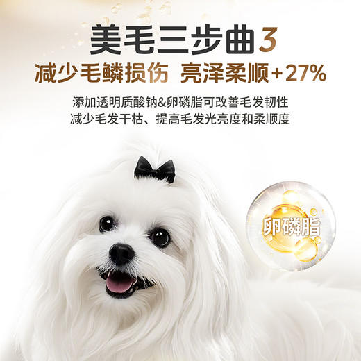 活力泰功能日粮低敏美毛狗粮比熊柯基博美柴犬通用型犬粮2kg 商品图4