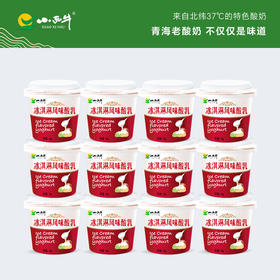 【光明&小西牛】顺丰包邮 青海老酸奶 特色软的冰淇淋酸乳 140gx12杯/箱