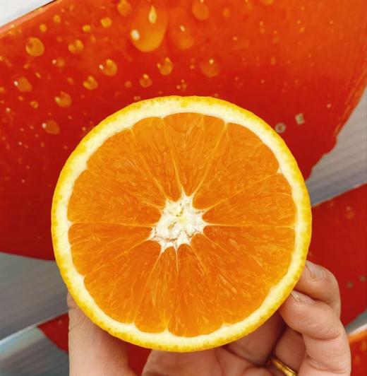 爆汁血橙（约7斤/箱） | 水果 商品图1