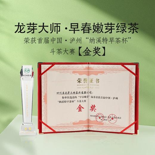 茶叶 绿茶 2025新茶 宜宾早茶 茶叶礼盒 龙芽大师 川茶集团 茶饮 60g 商品图1