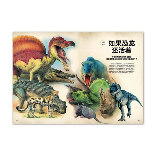 动物志06《比人更聪明》WOA 商品图4