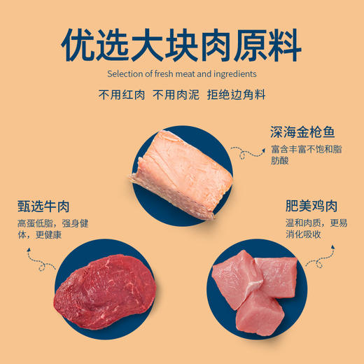 【宠物罐头】-宠物零食狗罐头猫咪湿粮幼猫幼犬零食流质汤罐 商品图2