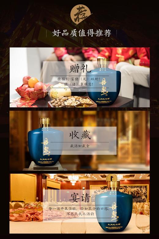 丹泉高端纪念酒·猪年纪念酒750ml*1 商品图2