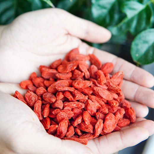 菜菜家得幸深山枸杞|非人工种植，无农残、无硫熏 商品图5